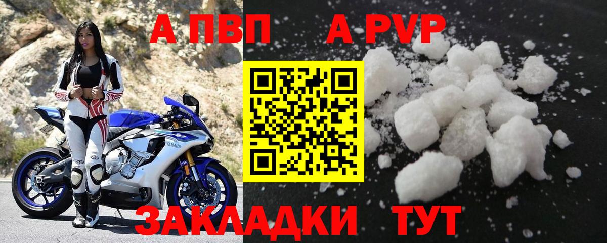 Альфа ПВП СК Владикавказ