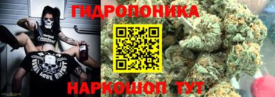 ешки Можга