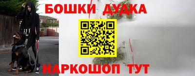 гидра Моздок