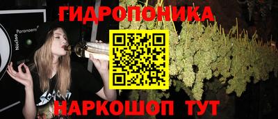 гашик Можайск