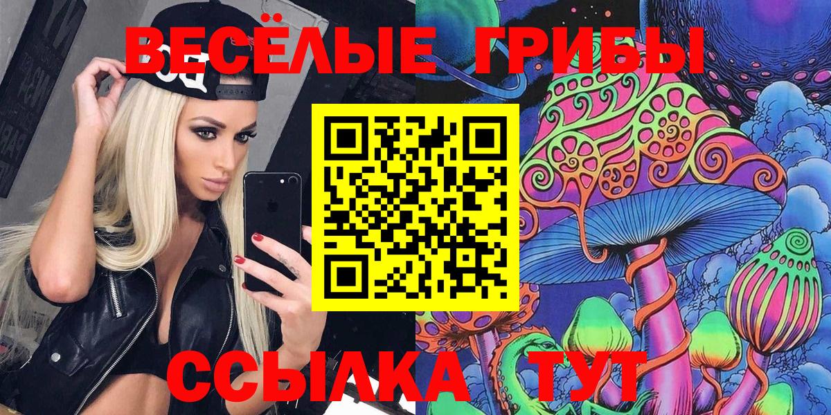 Псилоцибиновые грибы GOLDEN TEACHER  наркотики  Вход с VPN  Владикавказ  Галлюциногенные грибы MAGIC MUSHROOMS 