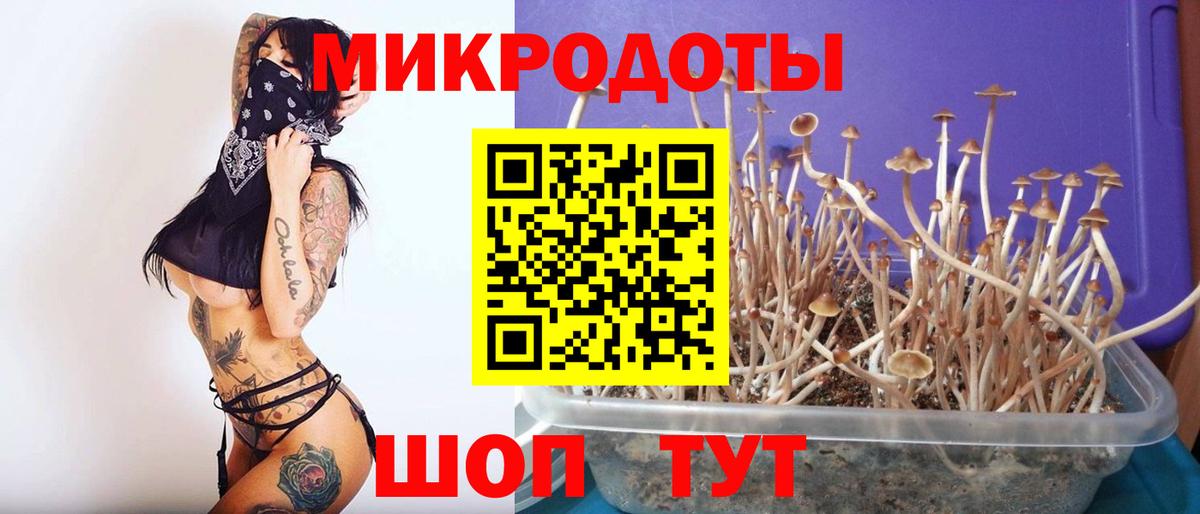 Псилоцибиновые грибы Владикавказ